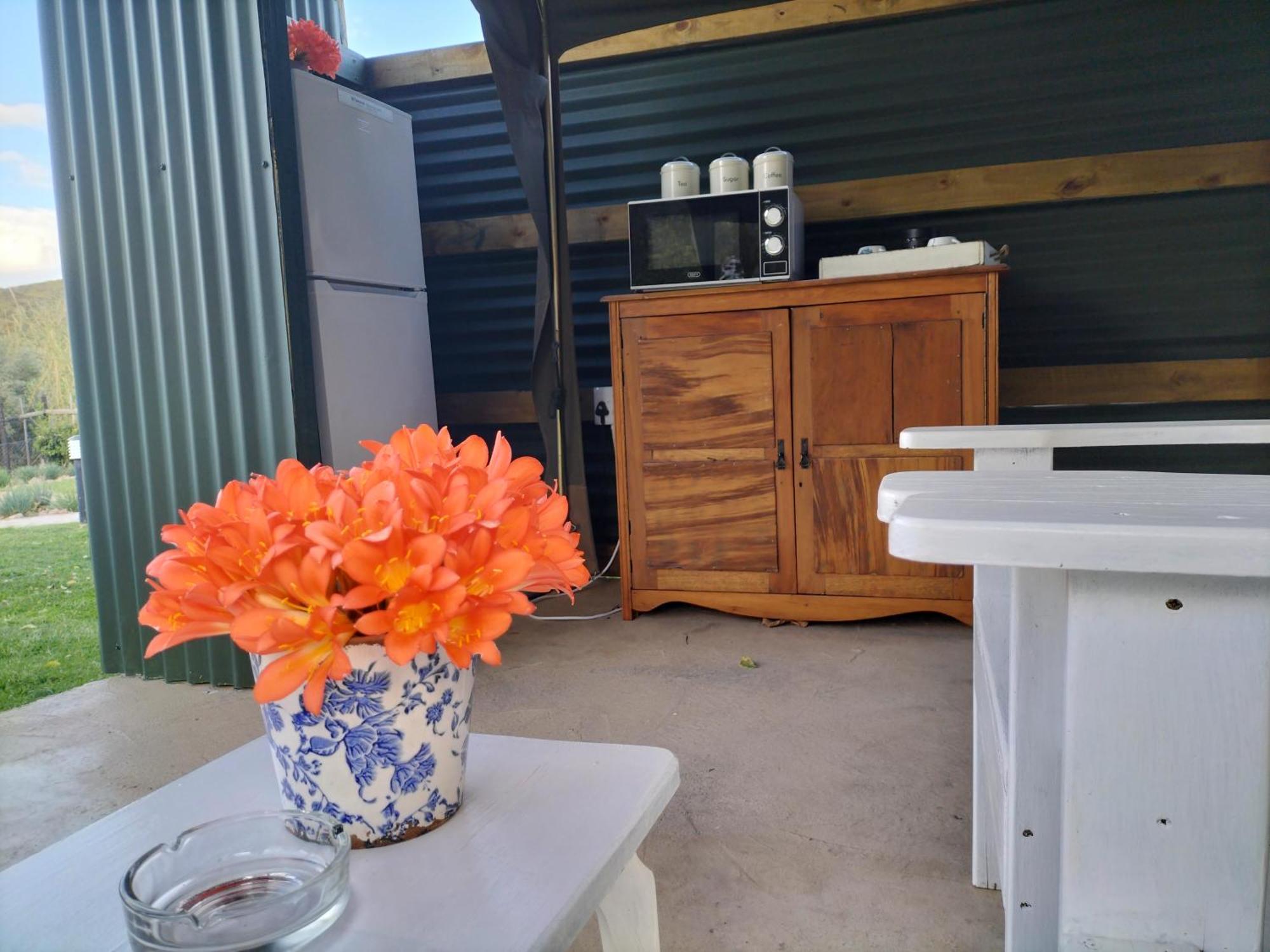 Schoemanshoek Glamping&Self Catering Oudtshoorn Bagian luar foto